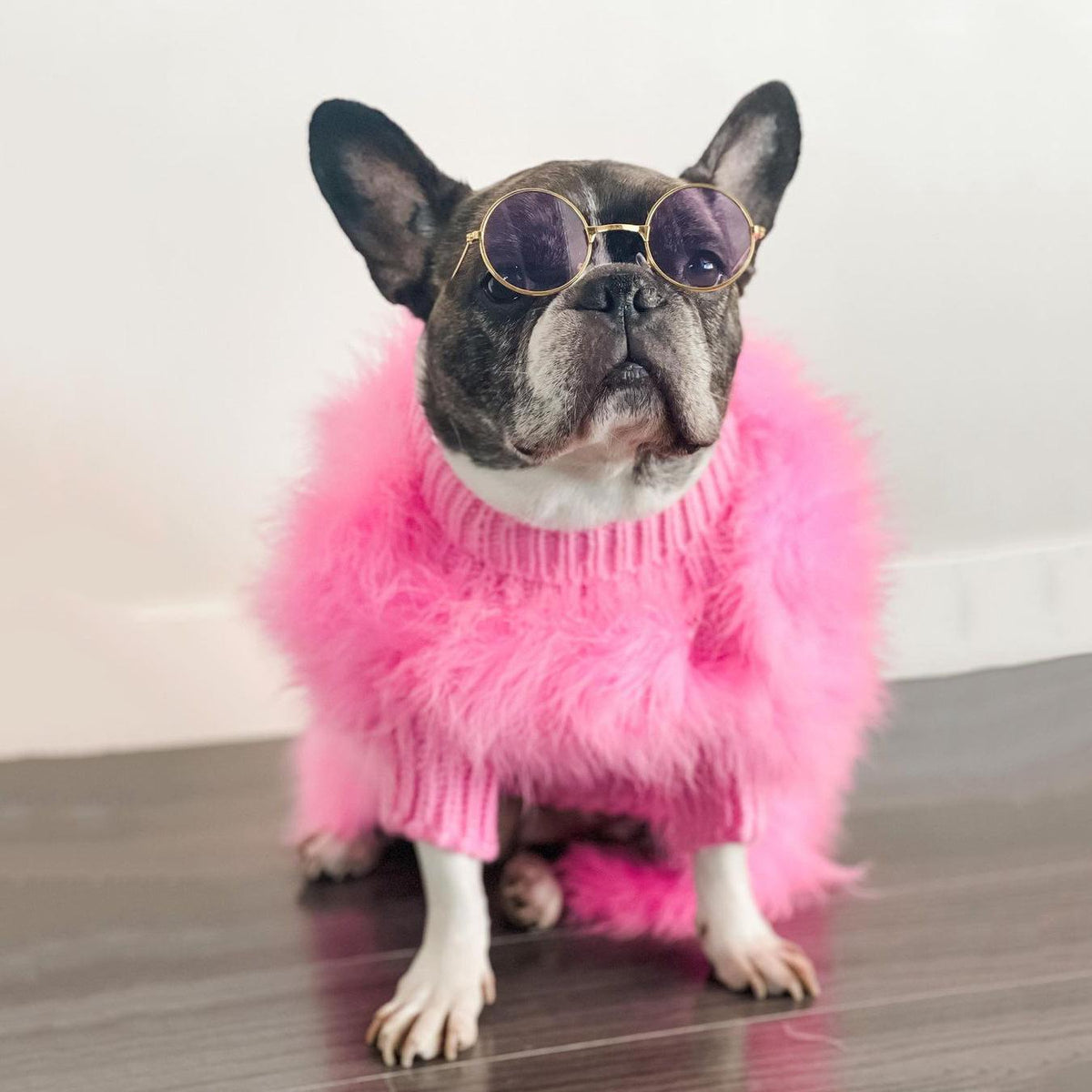 Pull pour animal de compagnie de luxe en plumes Haute Couture