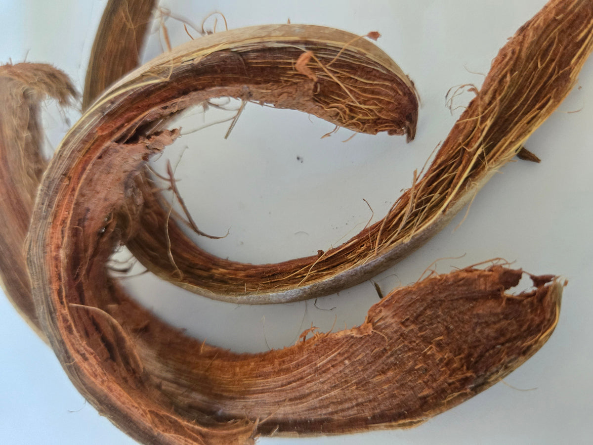 Boucles Coco