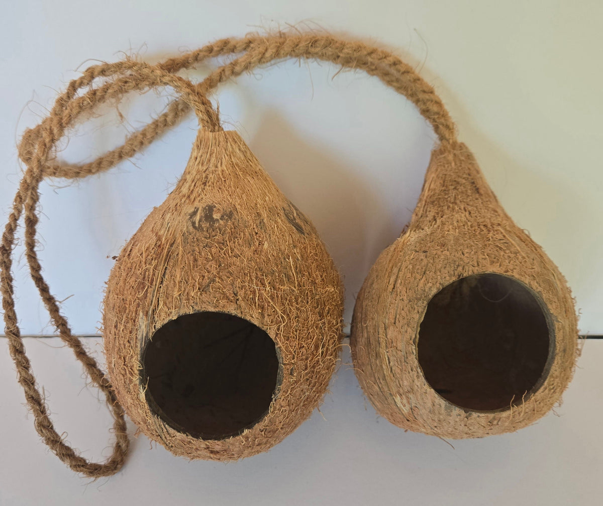 Abri suspendu en coque de noix de coco