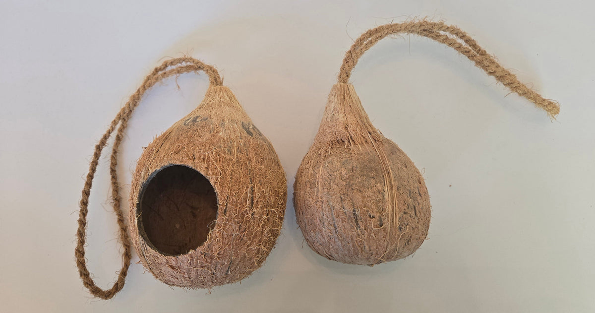 Hanging Coconut Shell Hideout