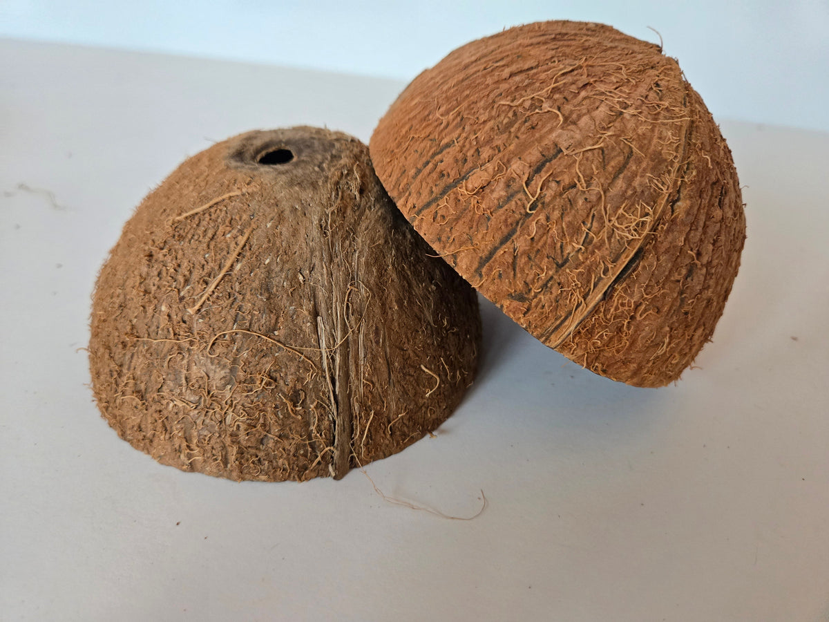 Mezzo guscio di noce di cocco