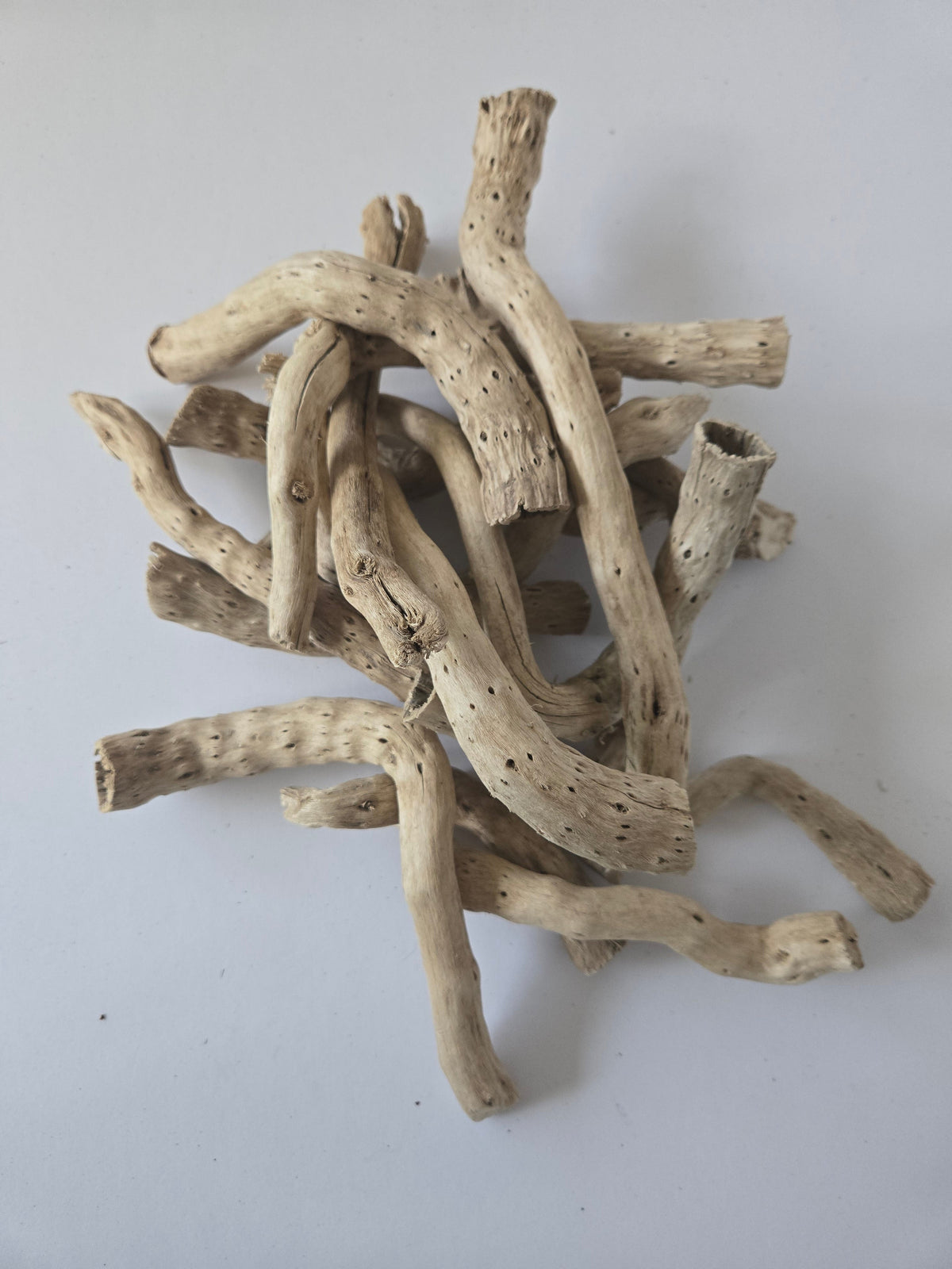 Racines de chou séchées