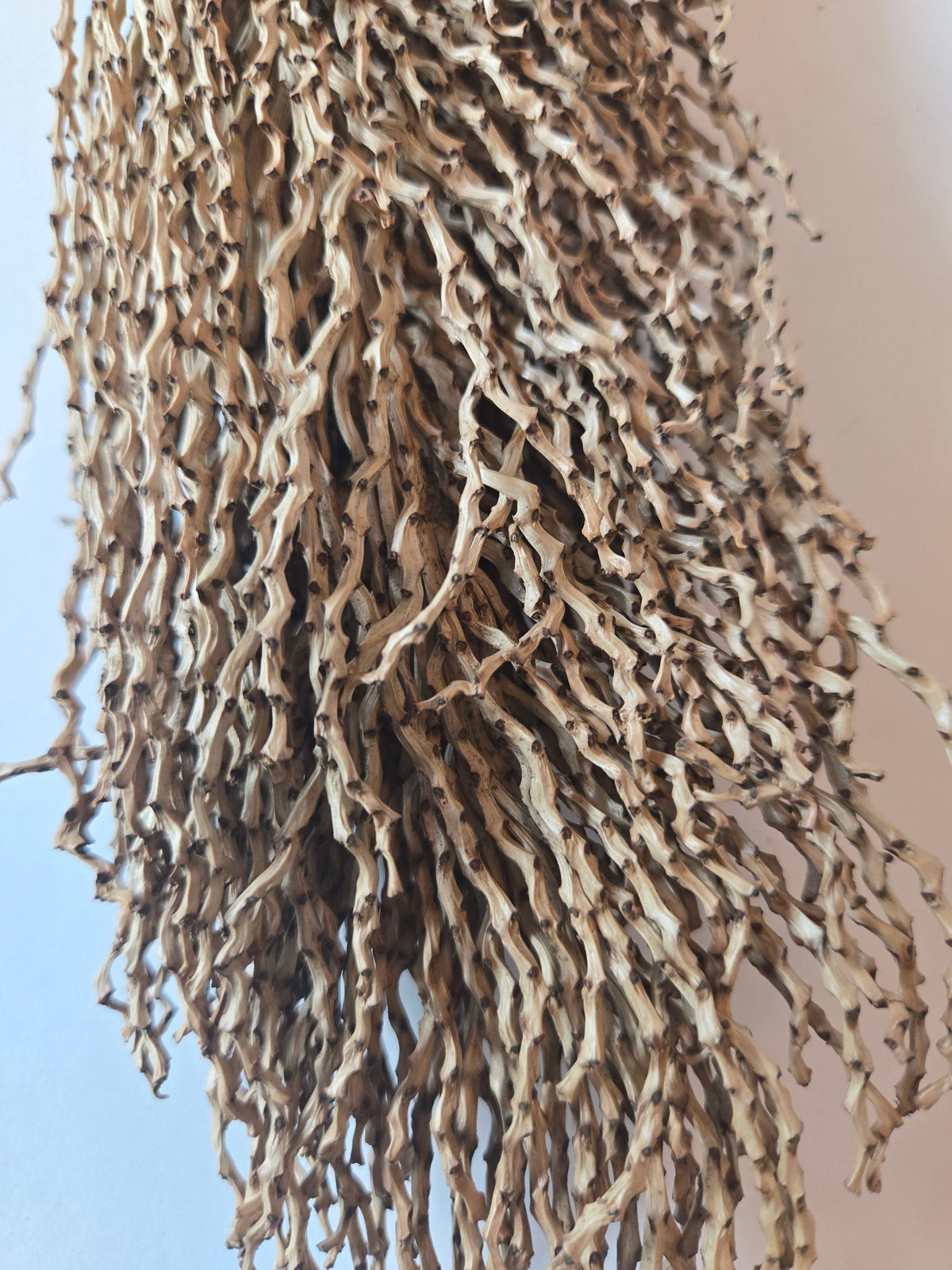 Rachis de palmier dattier