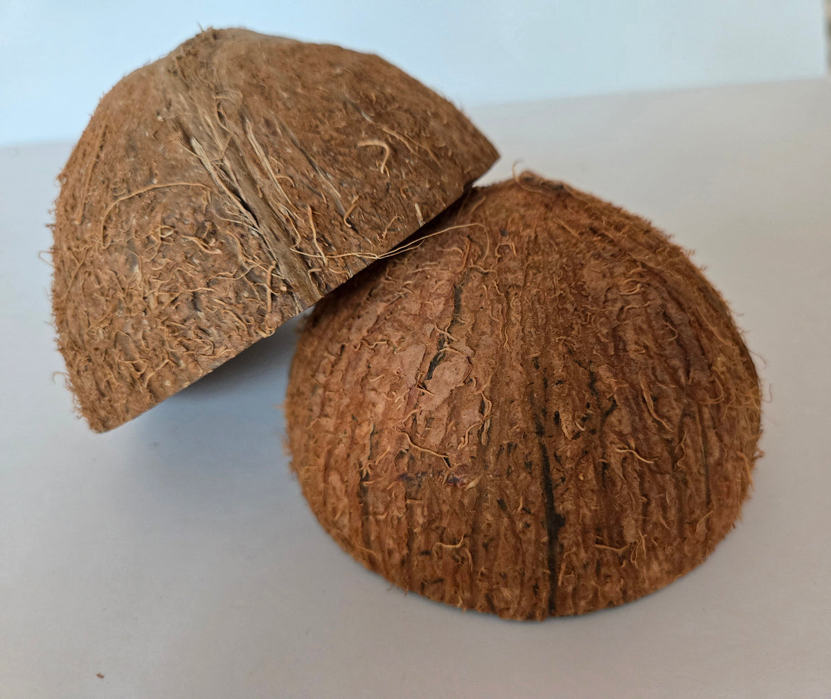 Mezzo guscio di noce di cocco