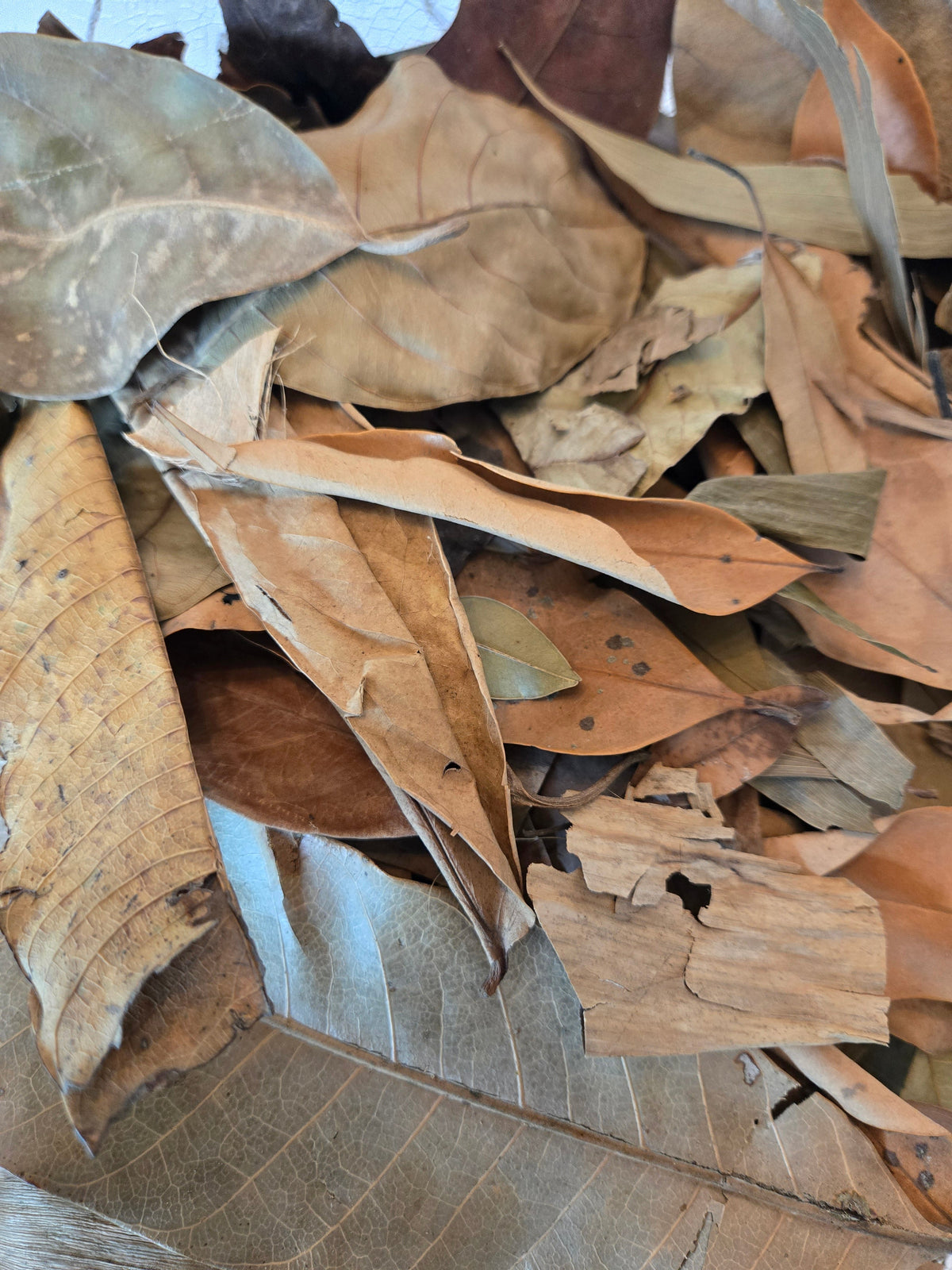 Mélange de litière de feuilles tropicales - 1 livre