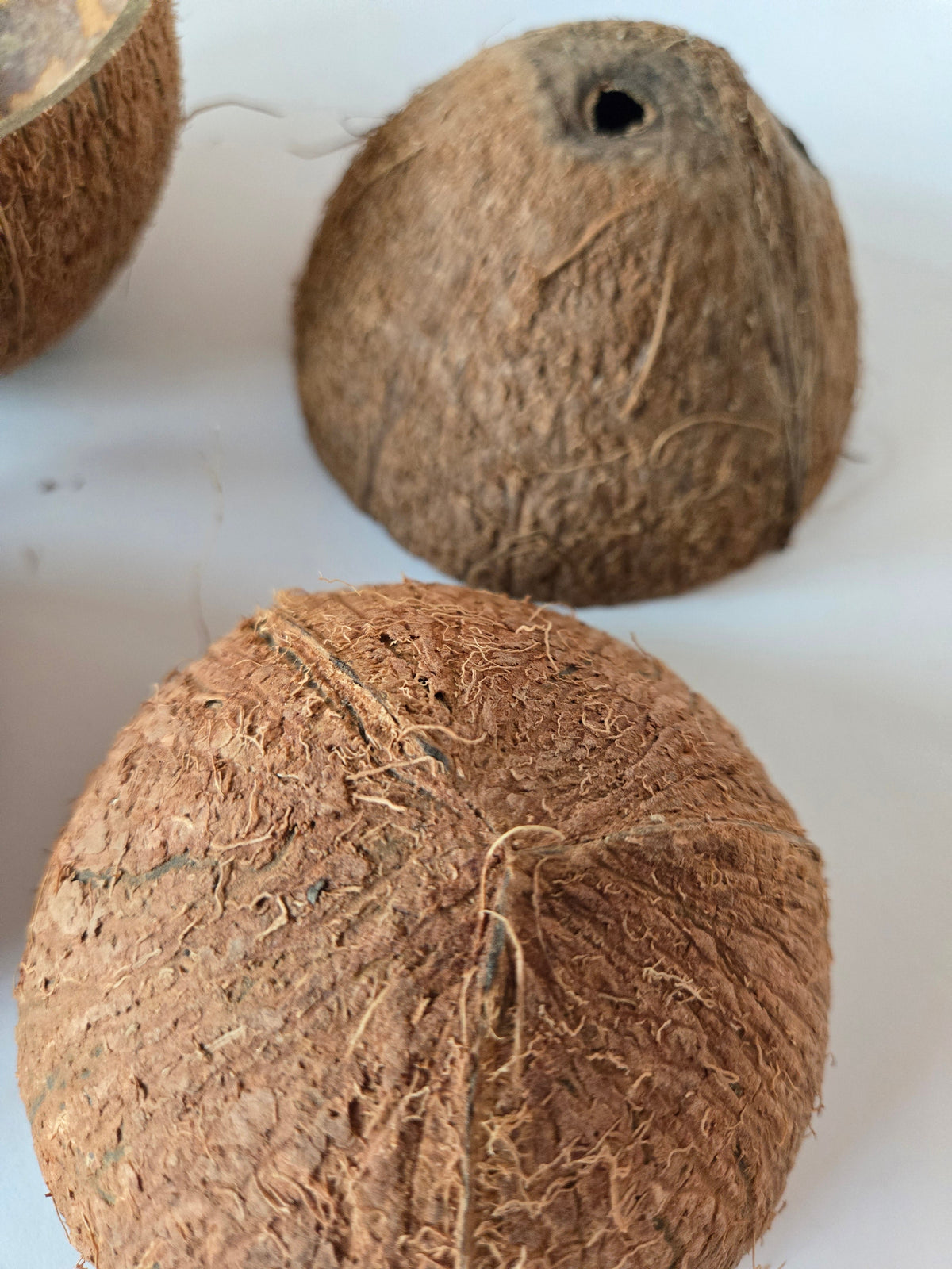 Mezzo guscio di noce di cocco