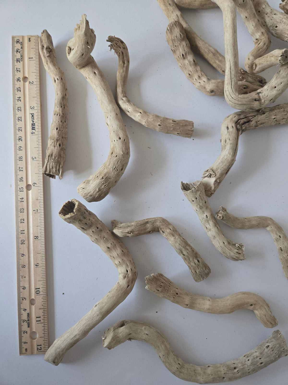 Dried Cabbage Roots