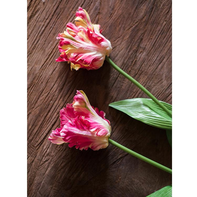 Stelo di tulipano fiamma in seta sintetica, altezza 61 cm