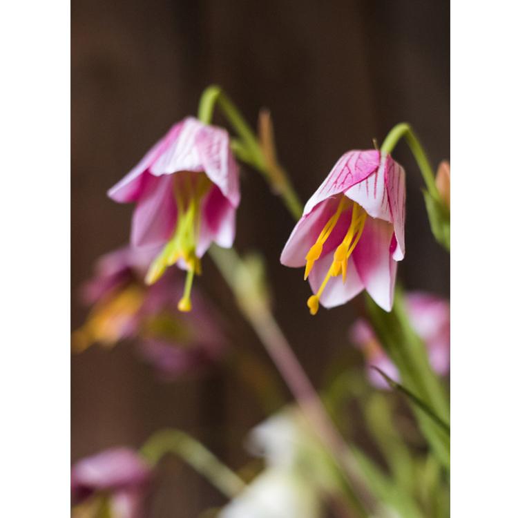 Gambo di fiore di giglio fritillaria in finta seta, rosa o viola, alto 66 cm