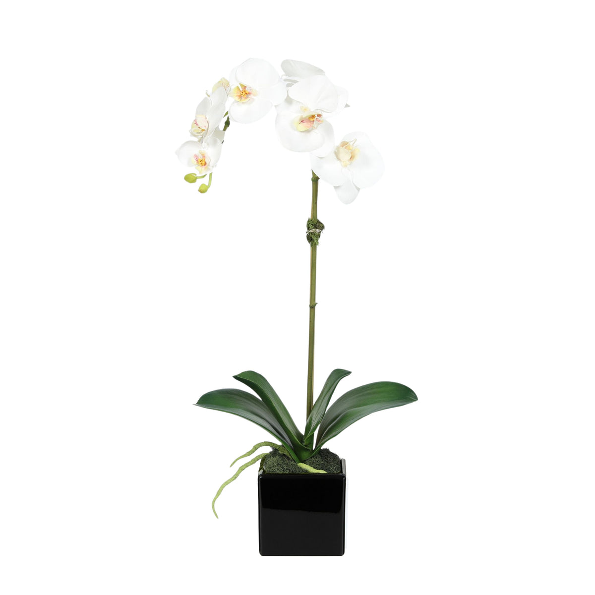 Orchidée artificielle dans vase carré - 50 cm