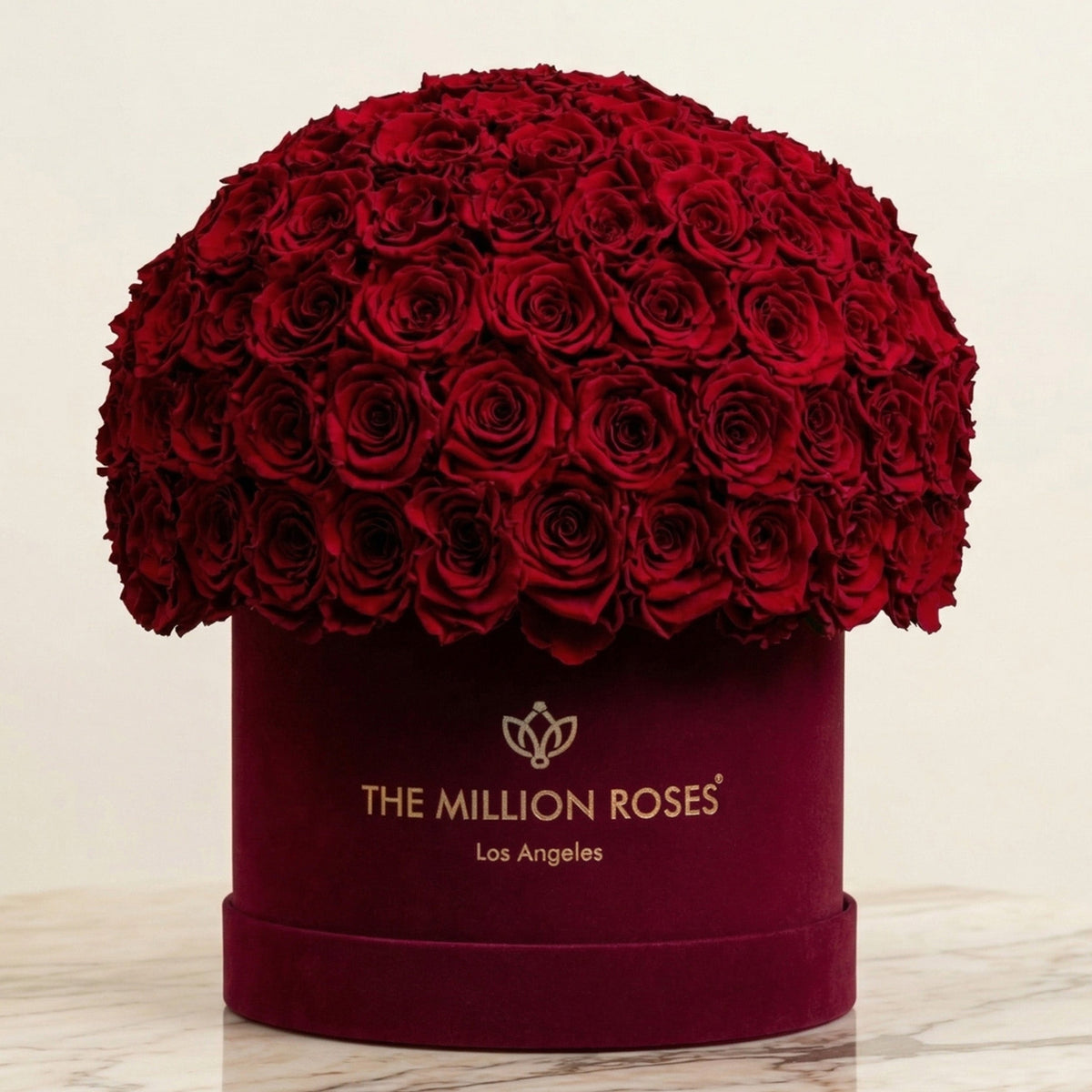 Boîte Superdome Supreme en daim bordeaux | Roses bourgogne
