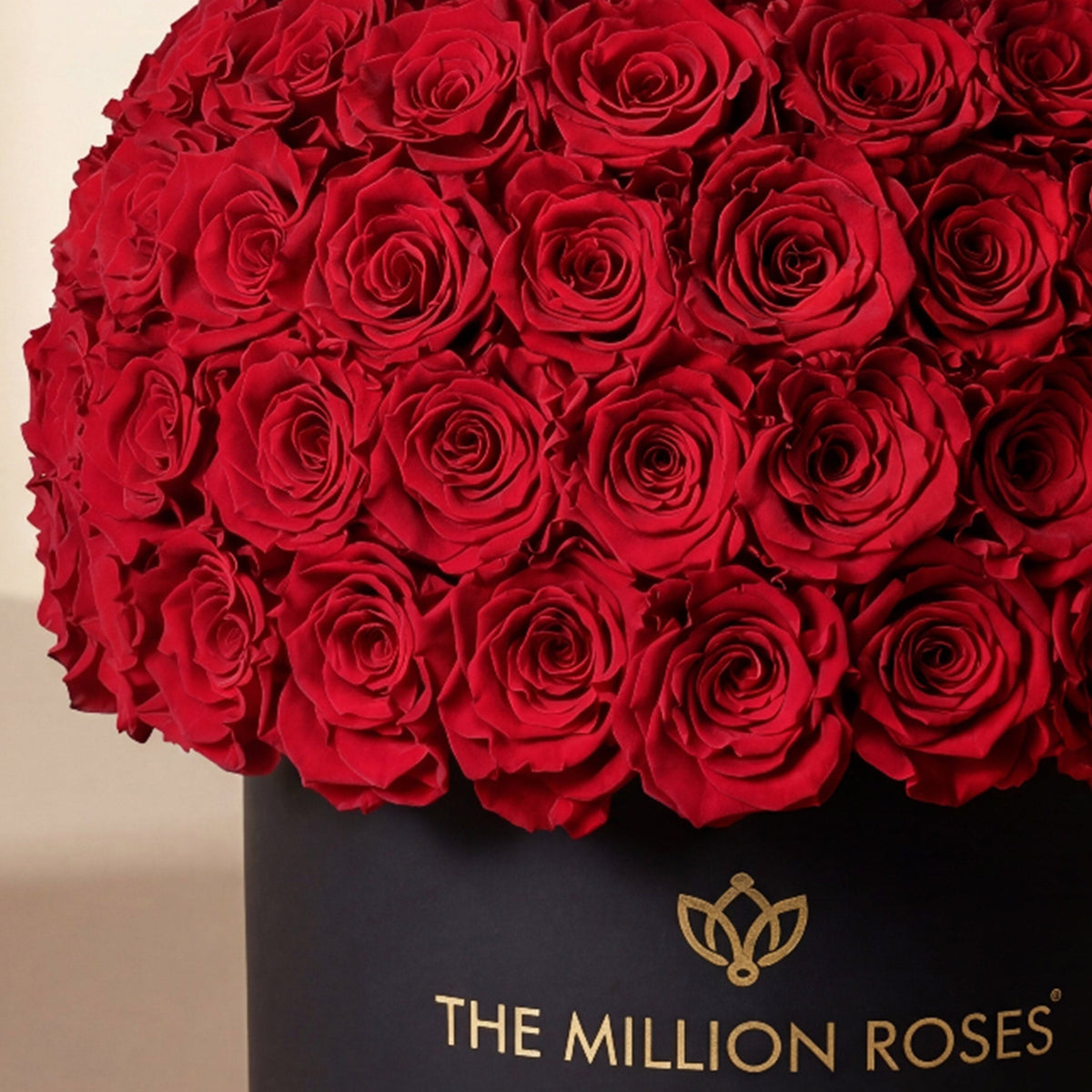 Supreme Black Superdome Box | Rose Rosse
