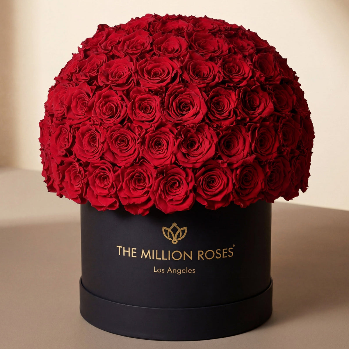 Supreme Black Superdome Box | Rose Rosse