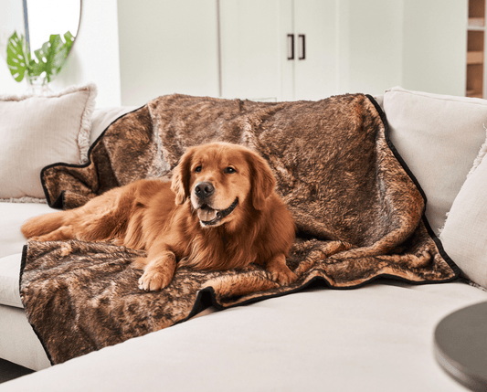 Coperta impermeabile a pelo corto estivo PupProtector™ - Sable Tan