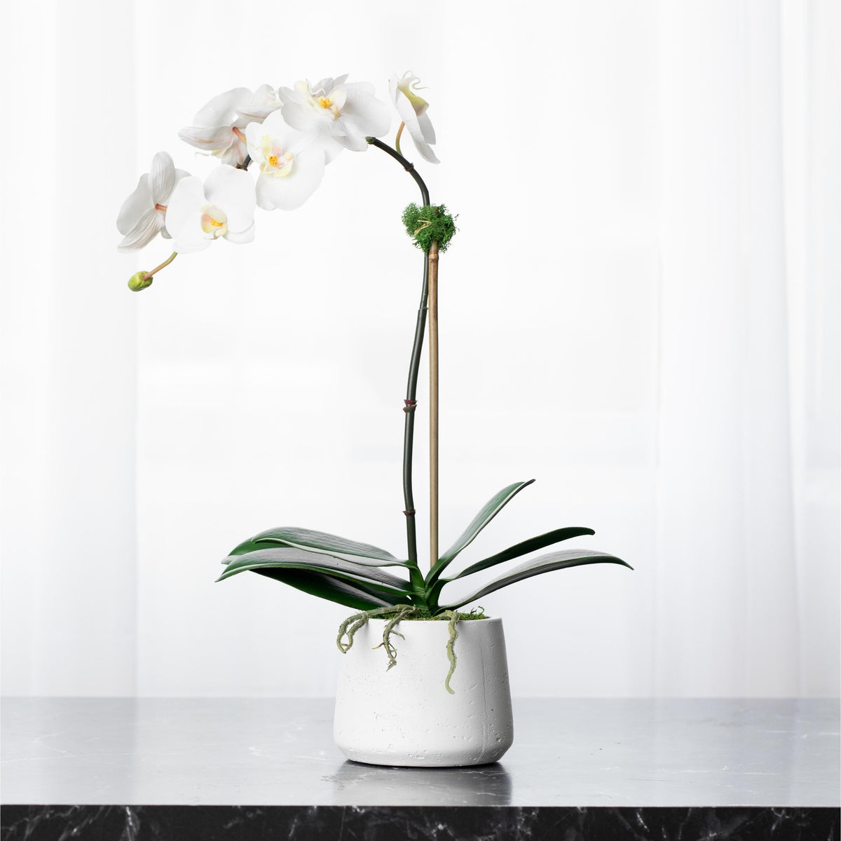 Pianta di orchidea artificiale - orchidea bianca in vaso bianco - 53 cm