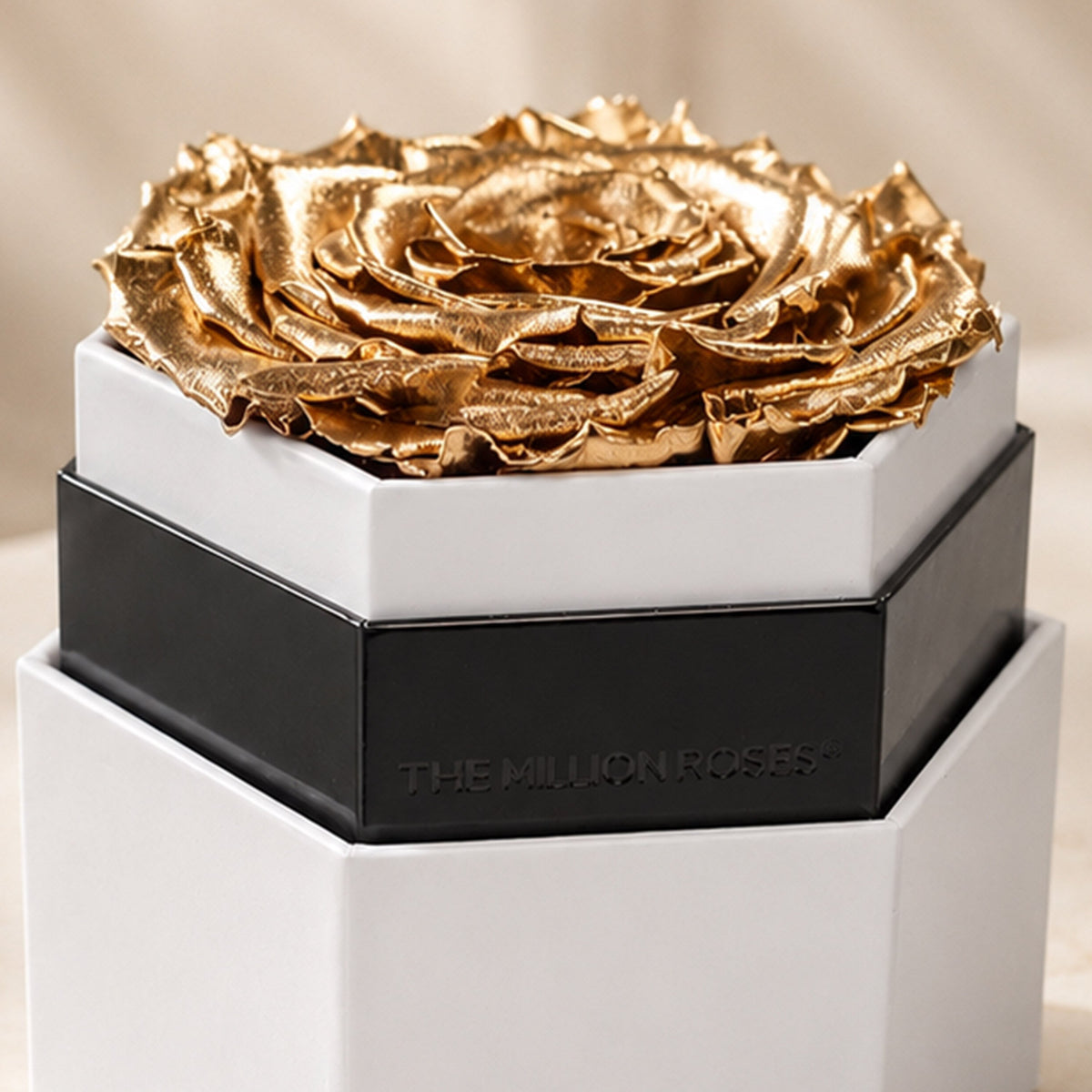 Scatola Esagonale Bianca One in a Million™ | Oro Rosa