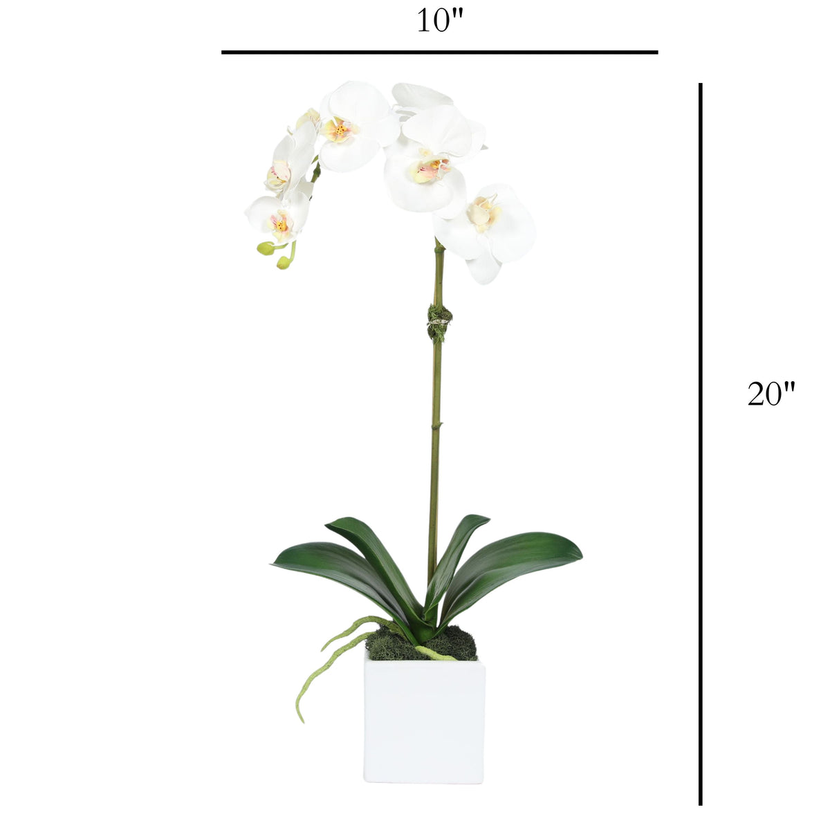 Orchidée artificielle dans vase carré - 50 cm