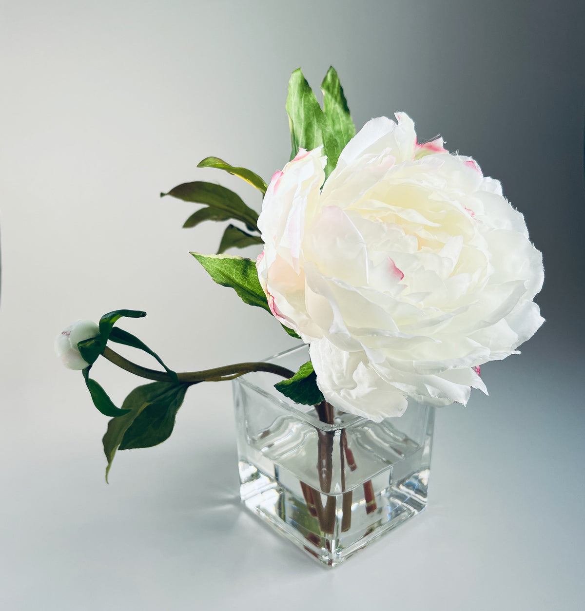 Composizione di peonie Real Touch in vaso di vetro - 8" (20 cm)