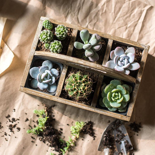 Wooden box basket with Carry Handle