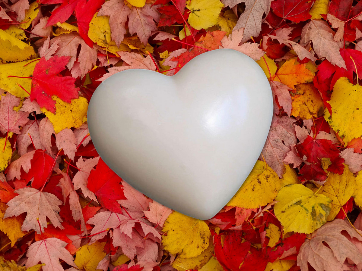 Wax Heart Freshener – Cozy & Comforting | Warm, Inviting Scents