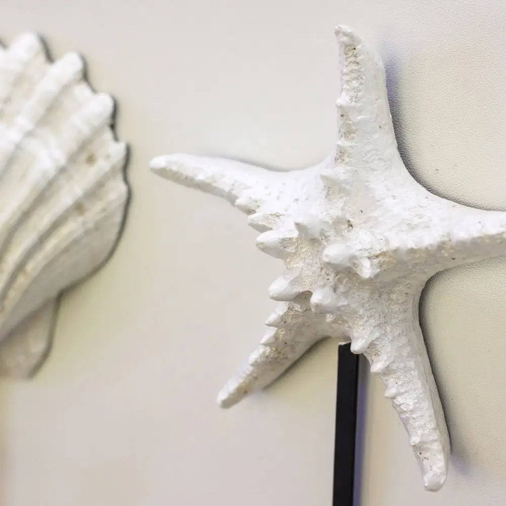 Coastal Seashell & Starfish Wall Hooks – Set of 3