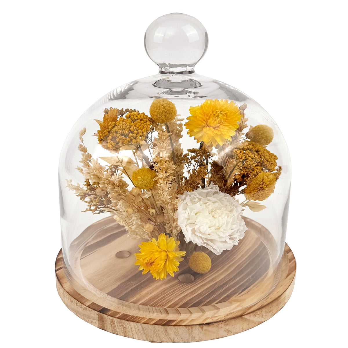 10" Botanical Cloche