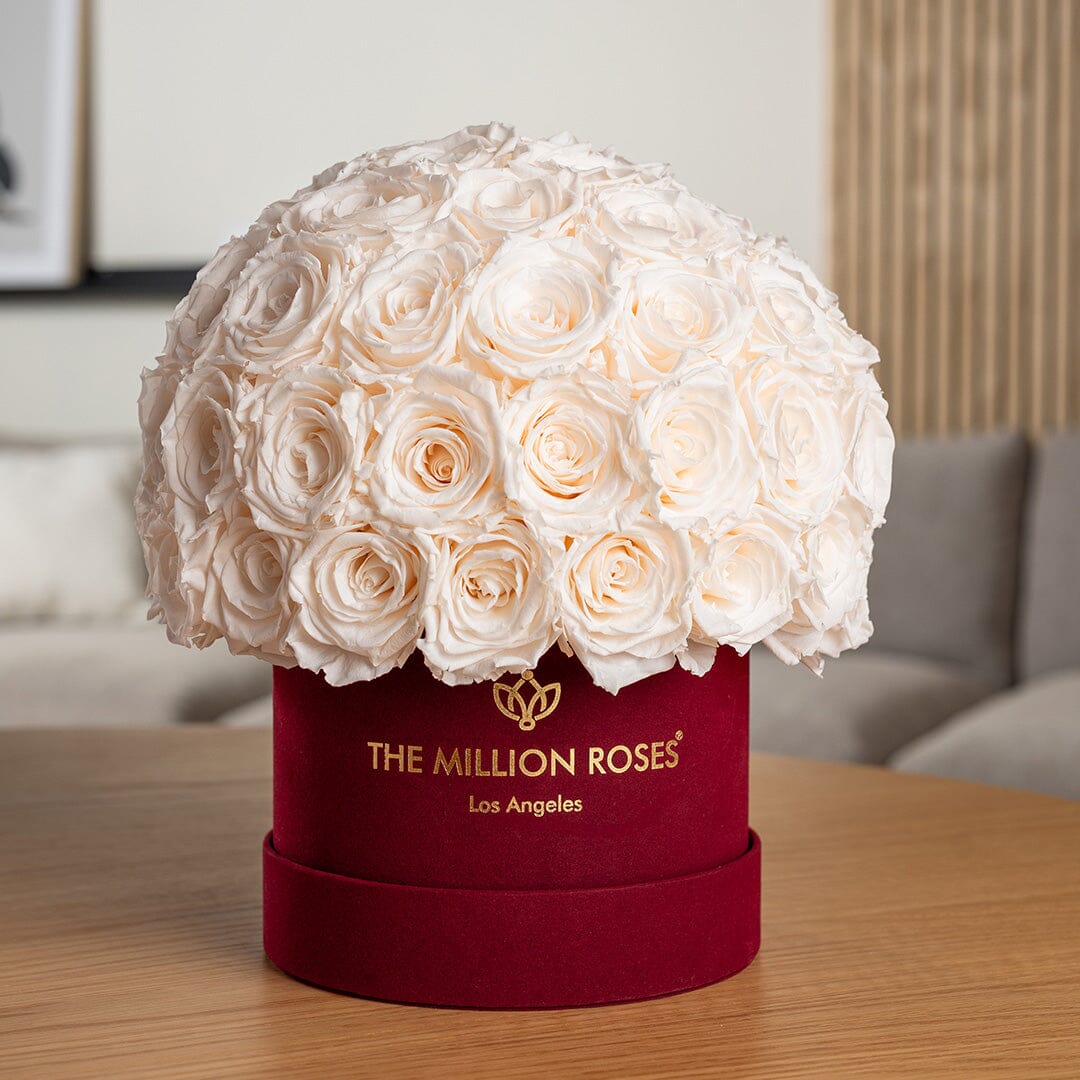 Boîte Superdome en suédine Bordeaux classique | Roses blanches