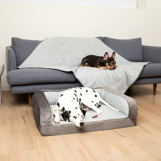 Lot Panier pour chien avec traversin rafraîchissant PupChill™ + Couverture imperméable - Gris Arctique