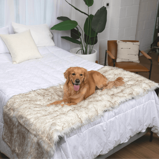 Runner da letto impermeabile PupProtector™ - Bianco con dettagli marroni