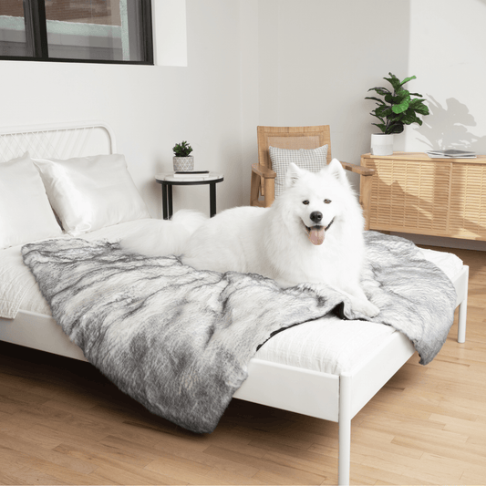 Couverture imperméable en fausse fourrure de luxe PupProtector™ - Ultra moelleuse Renard arctique