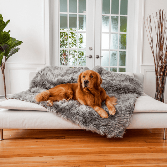 Coperta impermeabile PupProtector™ - Grigio antracite