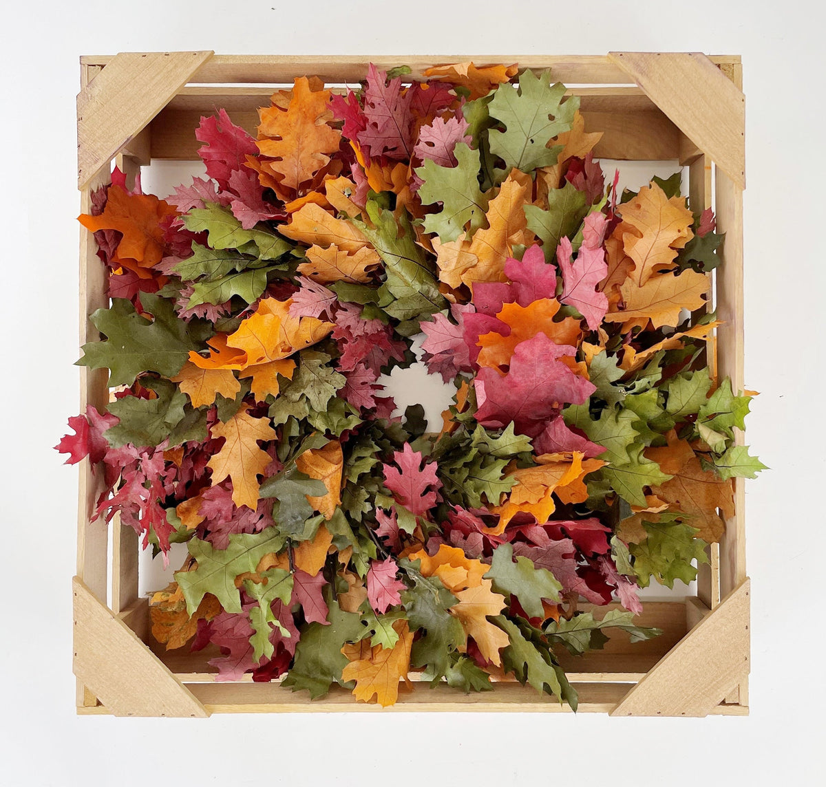 Auburn Harvest Oak Leaf Natural Wreath