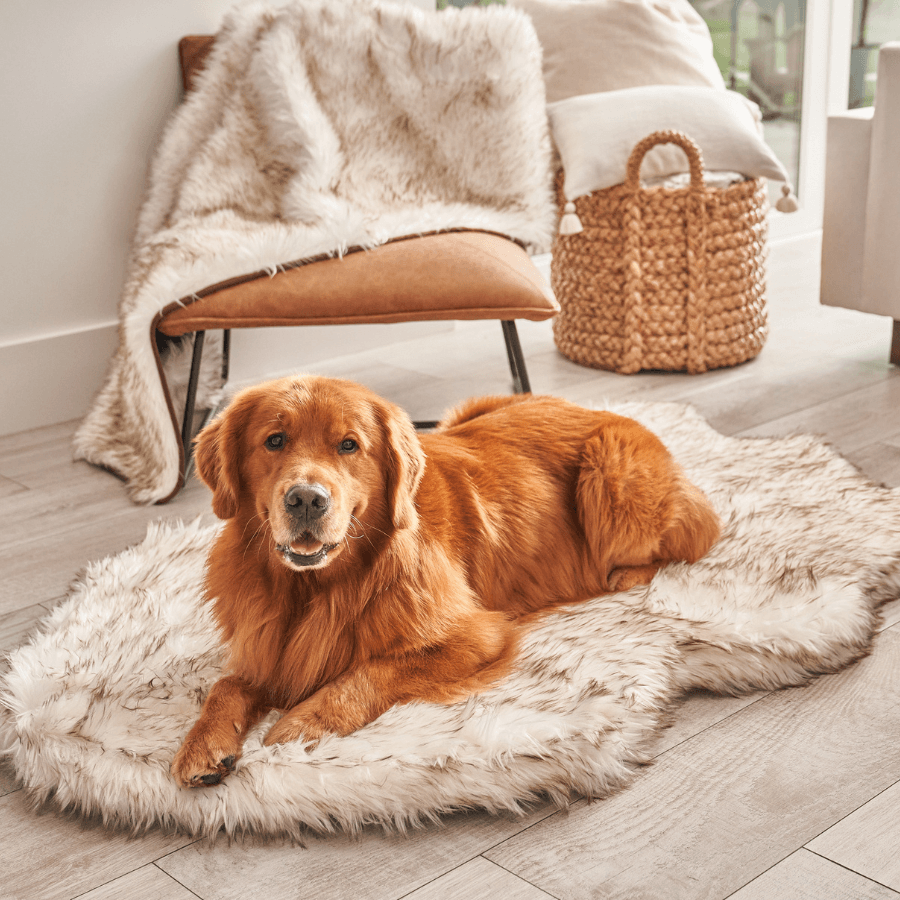 Cuccia ortopedica per cani in pelliccia sintetica PupRug di Paw.com® - Modello Curve bianco con dettagli marroni