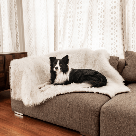 Coperta impermeabile PupProtector™ - Bianco Polare