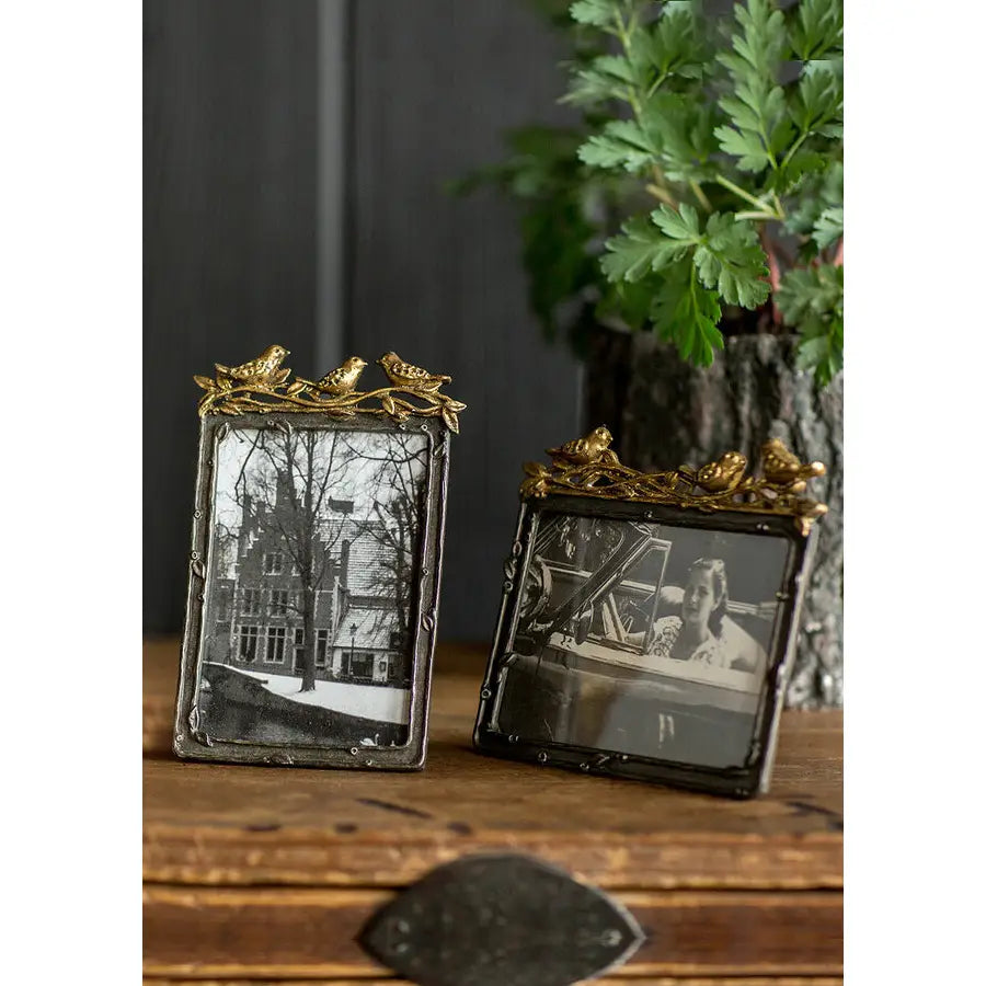 Pewter Frame with Gold Leaf Birds