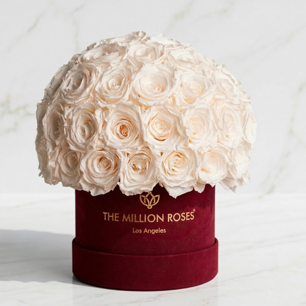 Boîte Superdome en suédine Bordeaux classique | Roses blanches