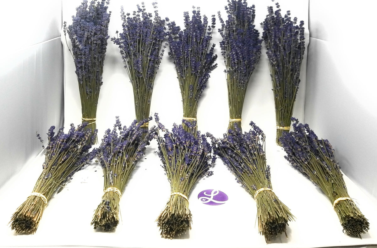 Royal Velvet Culinary Lavender Bundles - 10 Pack Food Grade Dried