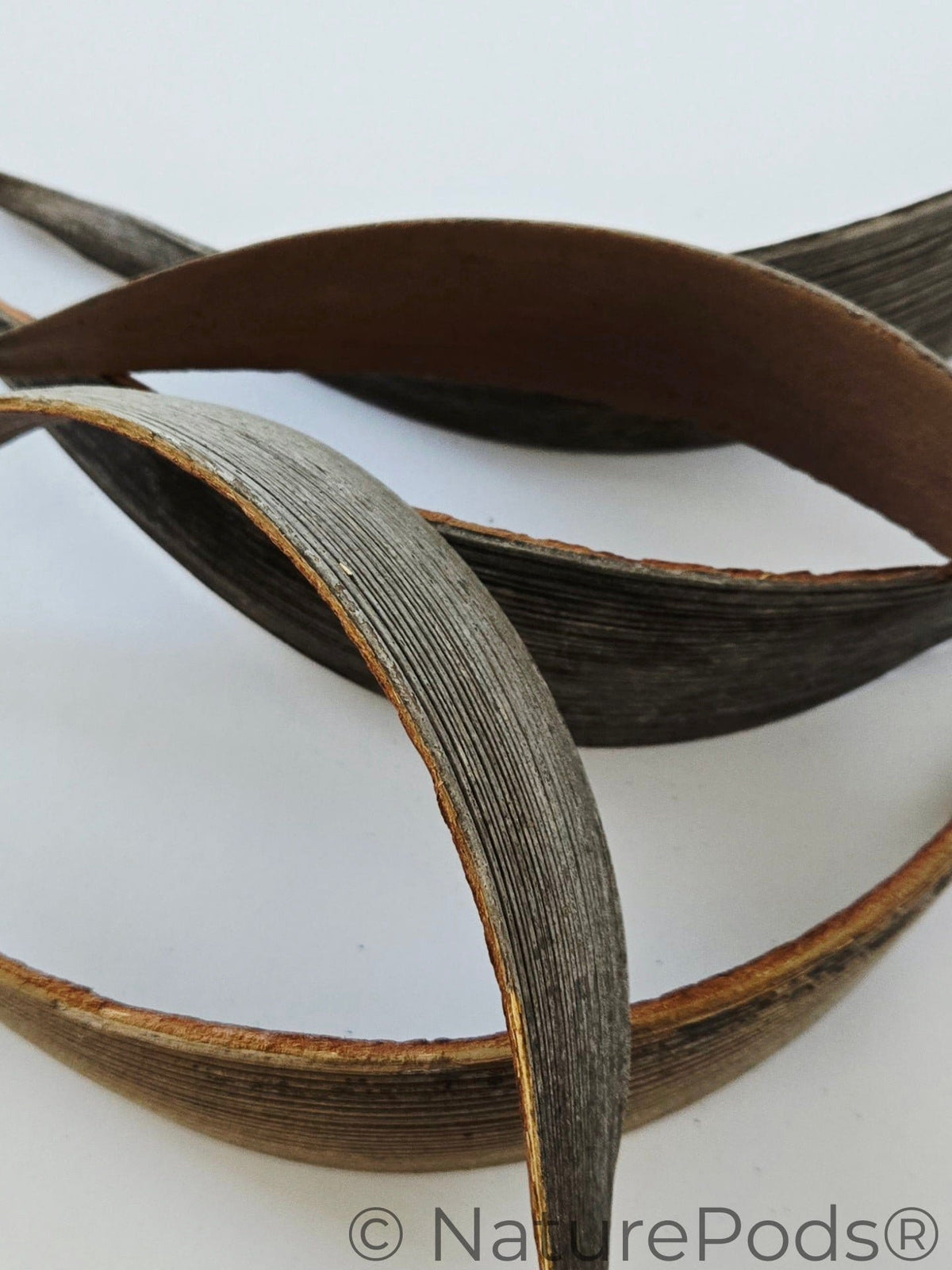 Coconut Palm Frond Paddles (3 pack)