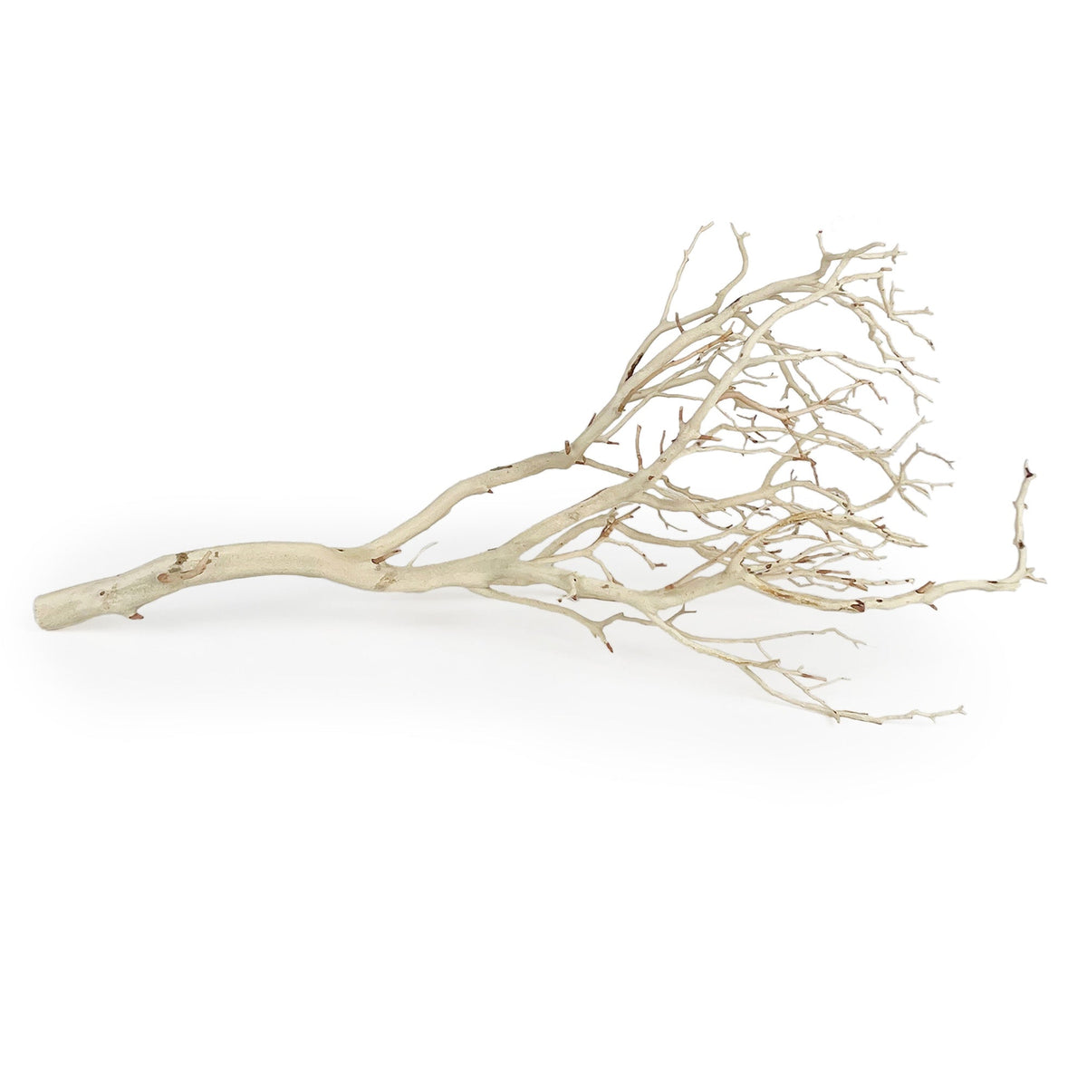Manzanita Sandblasted Branches 18-22"