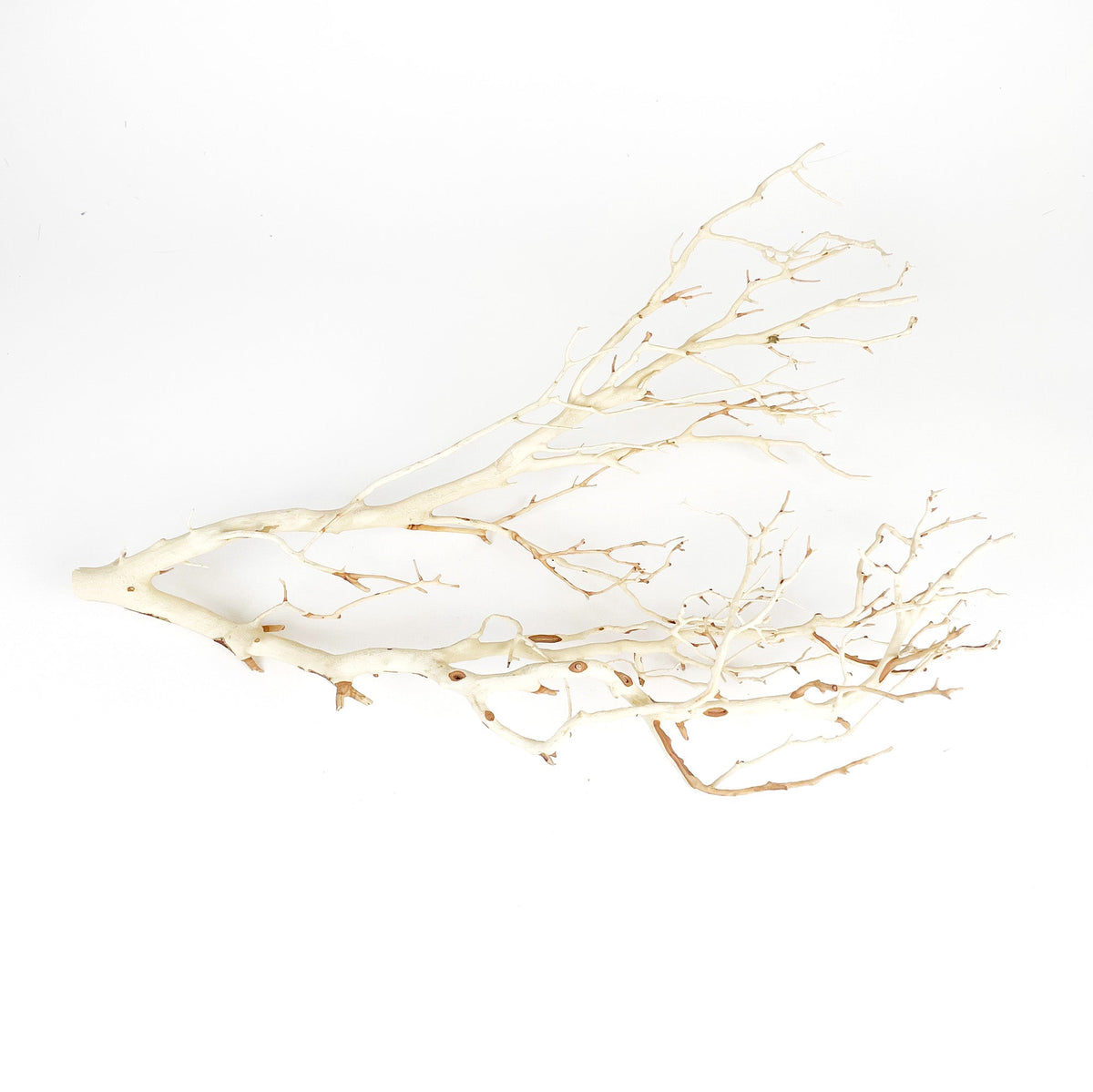 Manzanita Sandblasted Branches 22-26"