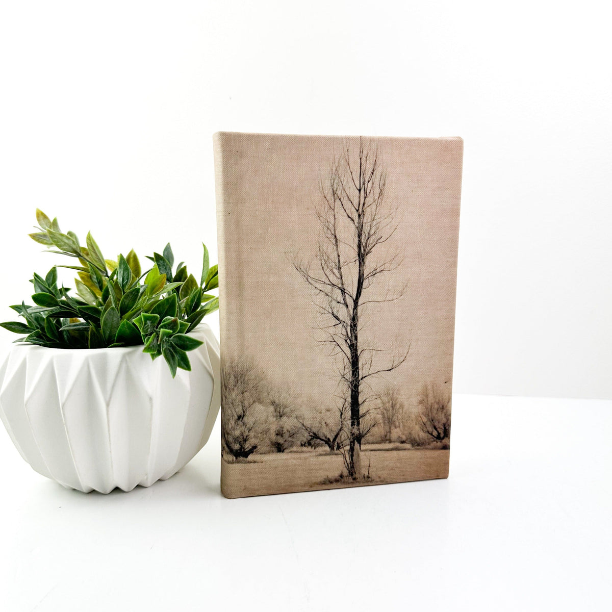 Motif Book- Aged Terrain