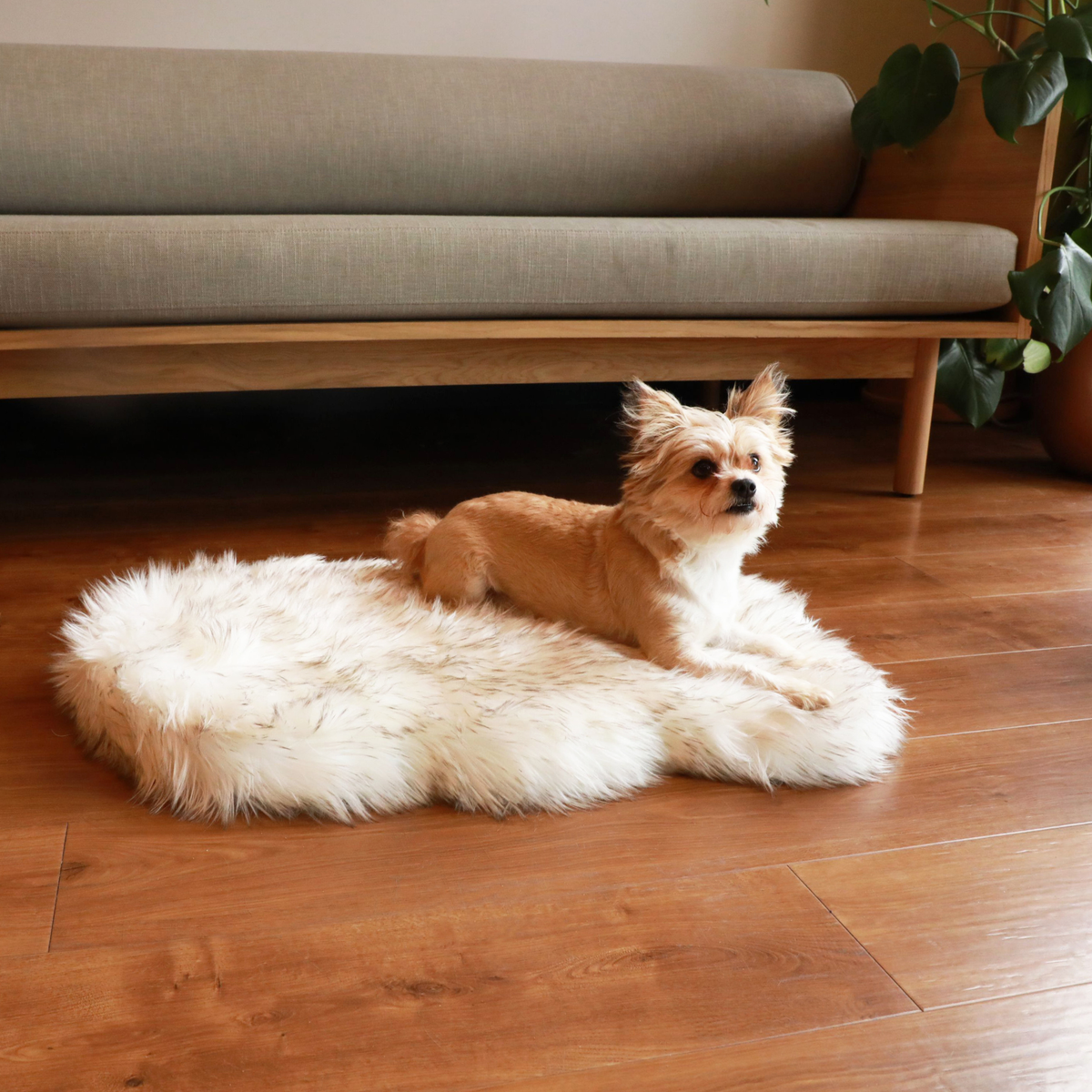 Cuccia ortopedica per cani in pelliccia sintetica PupRug di Paw.com® - Modello Curve bianco con dettagli marroni