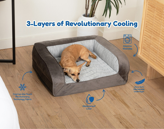 Lit pour chien à traversin rafraîchissant PupChill™
