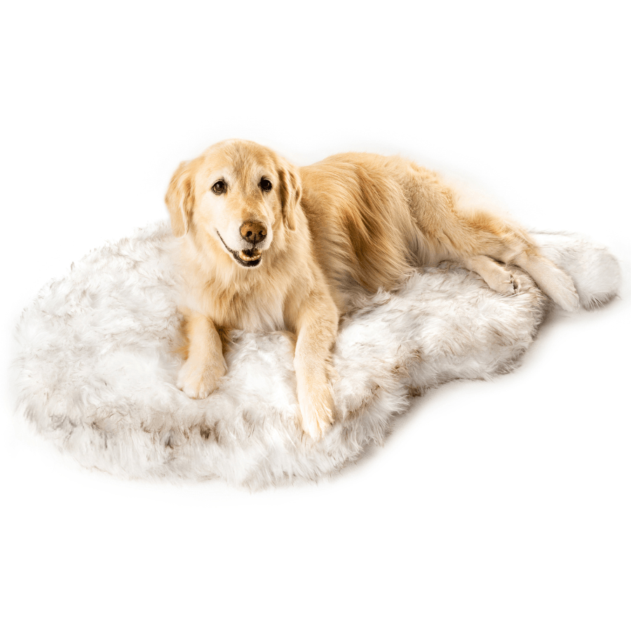 Cuccia ortopedica per cani in pelliccia sintetica PupRug di Paw.com® - Modello Curve bianco con dettagli marroni