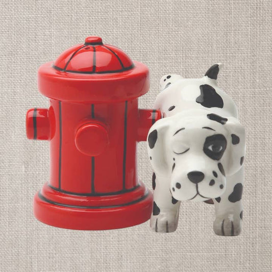 Where's The Fire Salt And Pepper Shaker Set Pacific Trading 243.8 g