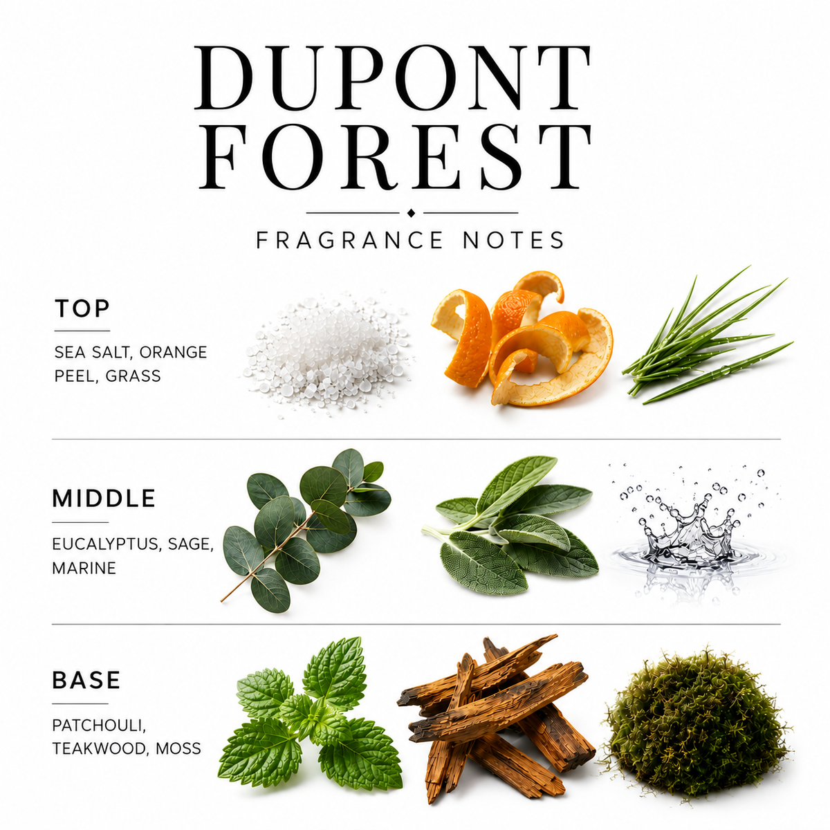 DuPont Forest- 8oz Wood Wick Candle