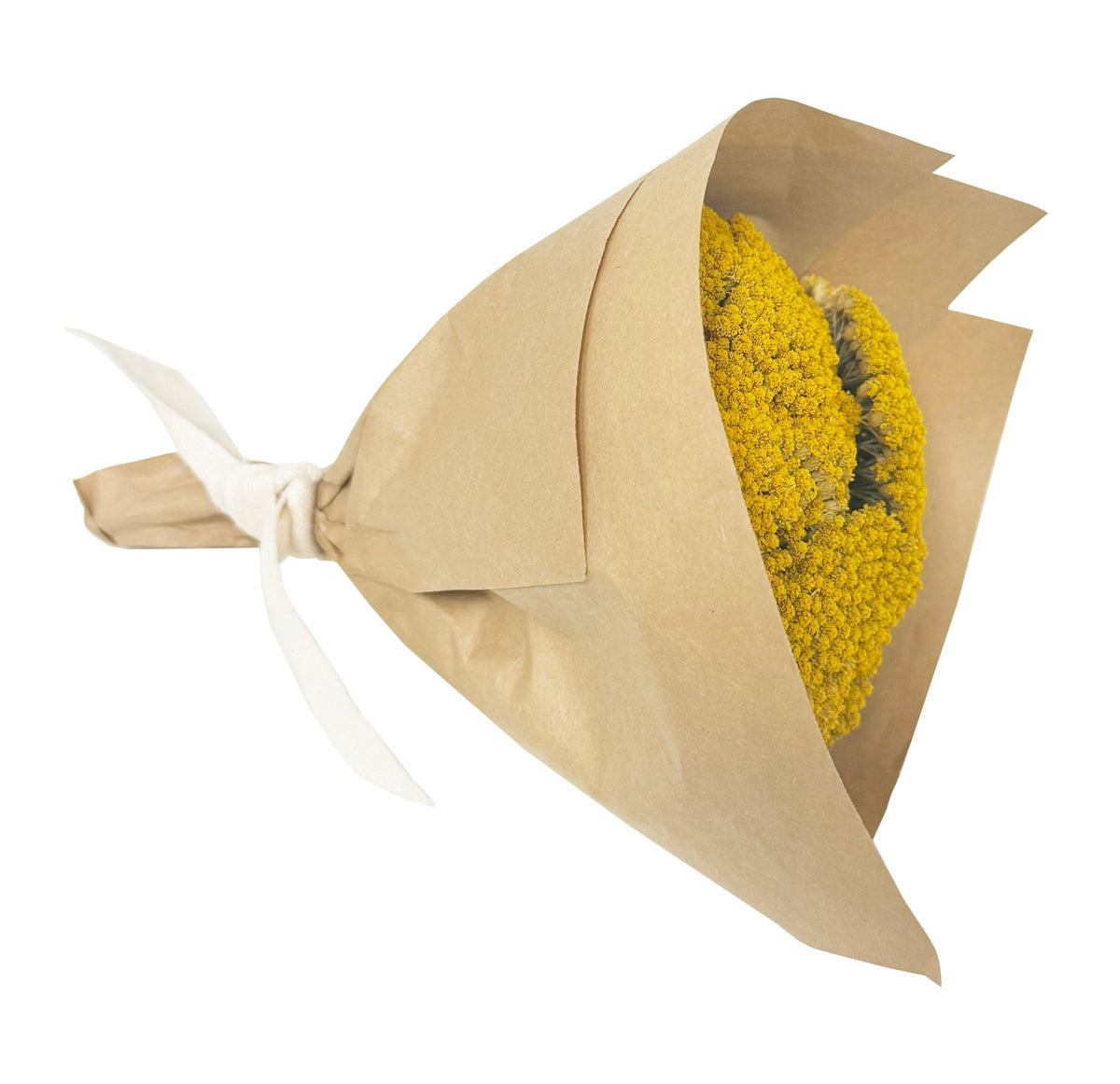 MINI Yarrow Bundle