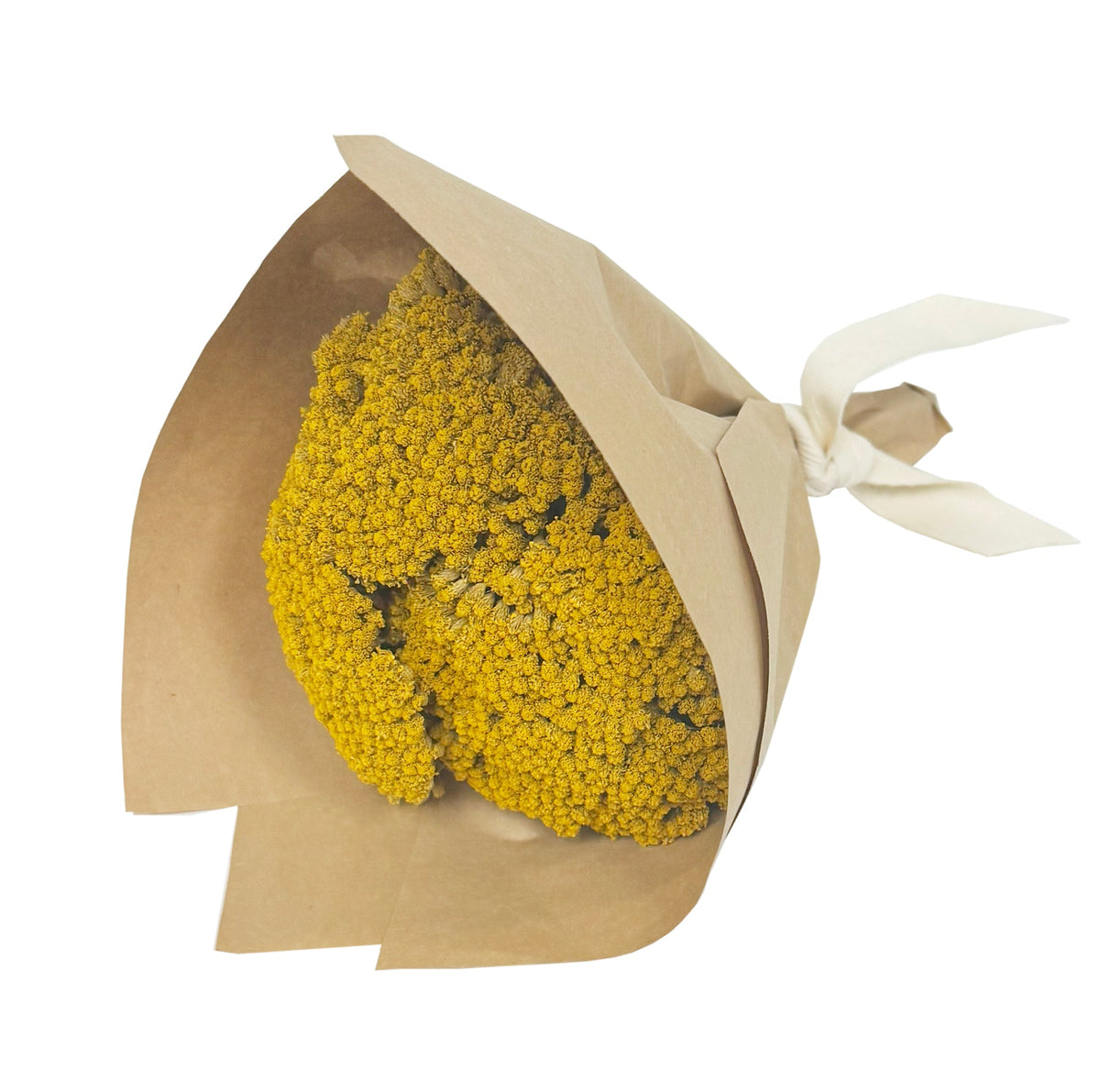 MINI Yarrow Bundle
