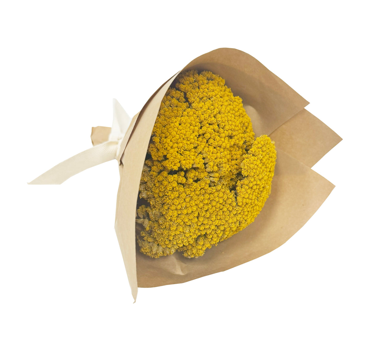 MINI Yarrow Bundle