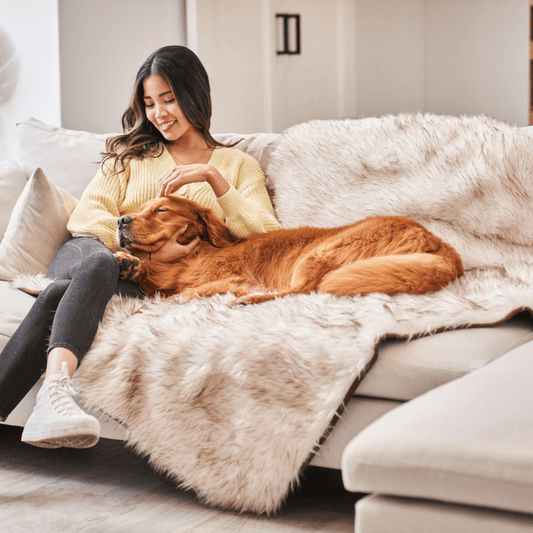 Coperta impermeabile PupProtector™ - Bianca con dettagli marroni